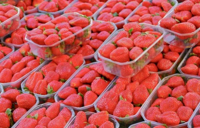 Warum Intermarché zu Weihnachten keine Erdbeeren und Kirschen anbietet