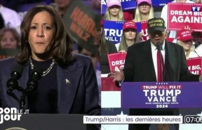 LIVE – US-Präsidentschaftswahl, D-1: Harris und Trump erreichen die Zielgeraden