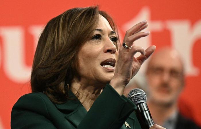 Harris führt in neuer Umfrage den entscheidenden Swing State an