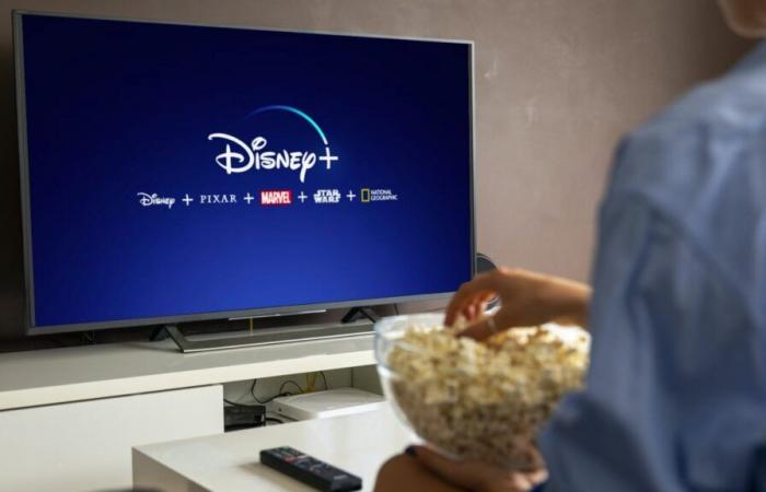 Canal+ wird sehr bald den Zugang zum Disney+-Streaming-Katalog verlieren