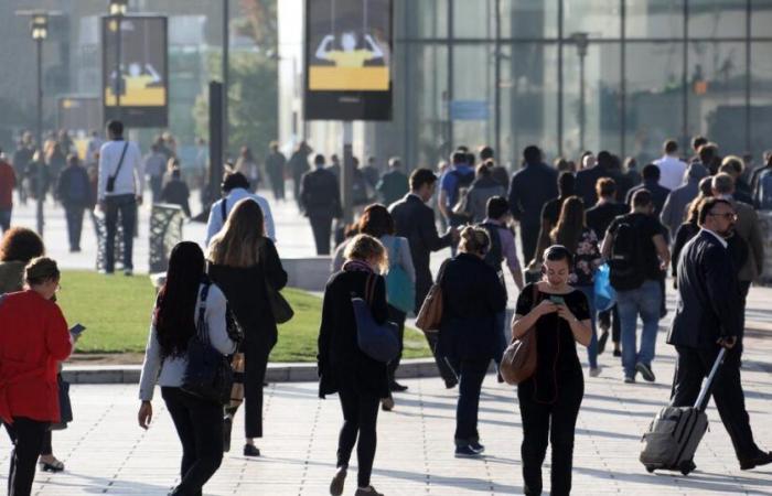 Laut einer Umfrage stehen Führungskräfte dem Kauf von Studienjahren durch ihre Unternehmen sehr positiv gegenüber