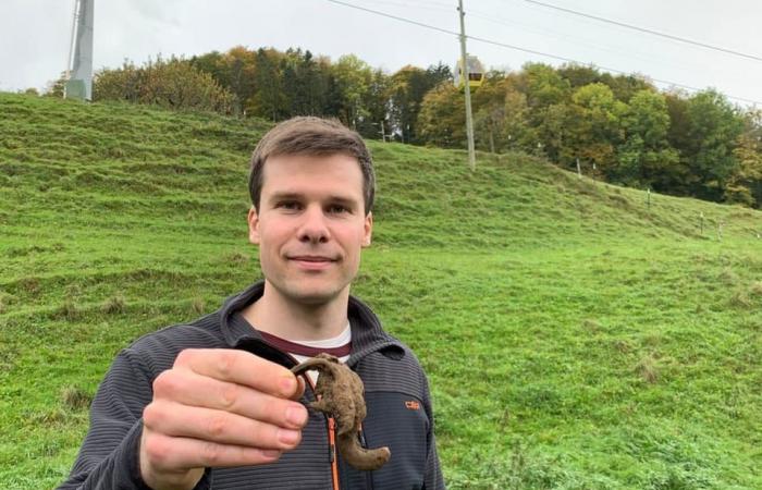 Projekt zur Geschichte des gescheiterten Wasserfallentunnels – News