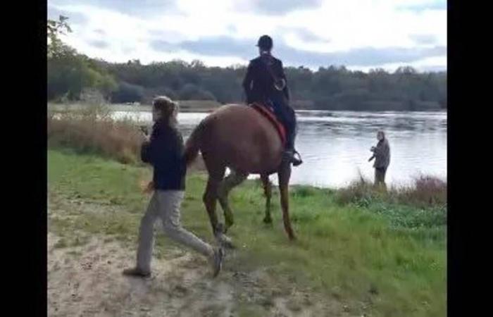 Versuchter Mord, umstrittene Jagd, wütender Bauer, unaufhaltsame OLB und RCO … Die Zusammenfassung des Wochenendes im Loiret