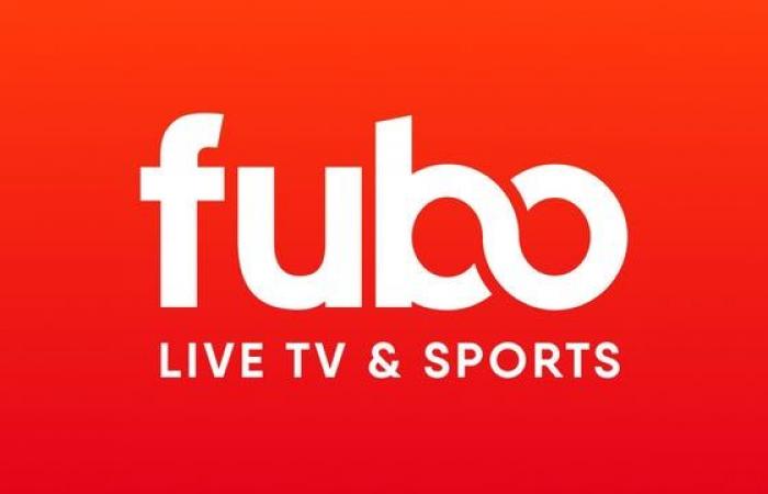 Premier League Soccer: Livestream Fulham vs. Brentford von überall