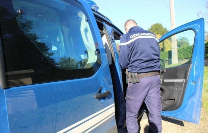 Die Polizei stoppt ein verrücktes Auto und macht in der Oise eine überraschende Entdeckung