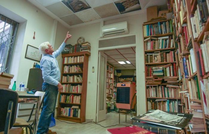 „Ich habe 800 Bücher gefunden, die in 5 Zentimeter Wassertiefe schwammen“, beunruhigt dieser Buchhändler aus Perpignan nach Unwettern