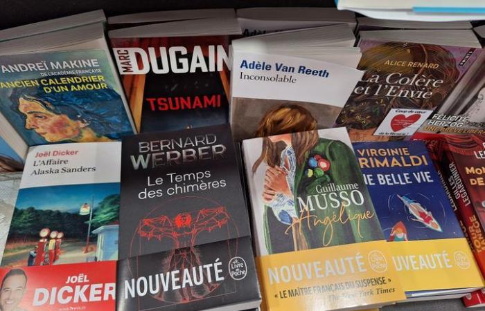 wie die französische Ausgabe ihre Bücher in organisierten Bannern veröffentlicht