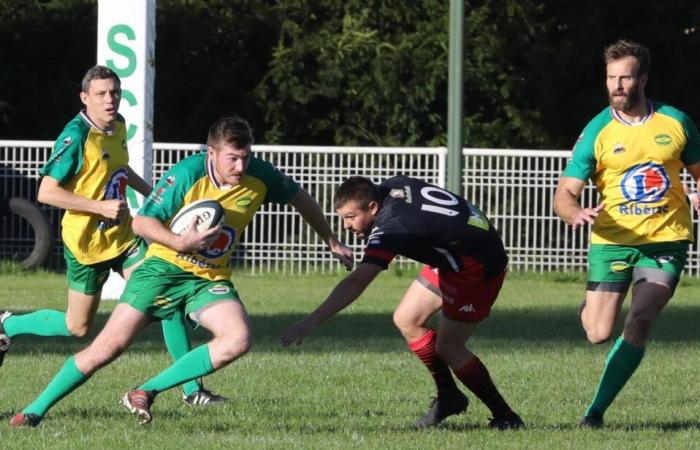 Rugby in der Dordogne: Ribérac gewinnt wieder Farbe