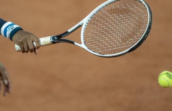 Guinard vs. Zizou Bergs Vorhersage, Gewinnchancen bei den Moselle Open