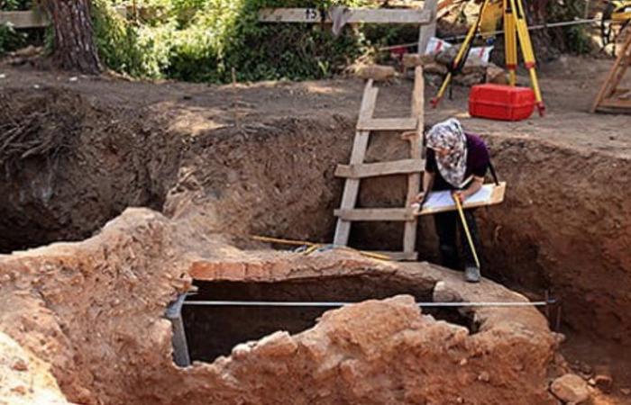 Die ältesten in Marokko entdeckten Spuren pflanzlicher Medizin stammen aus der Zeit vor 15.000 Jahren