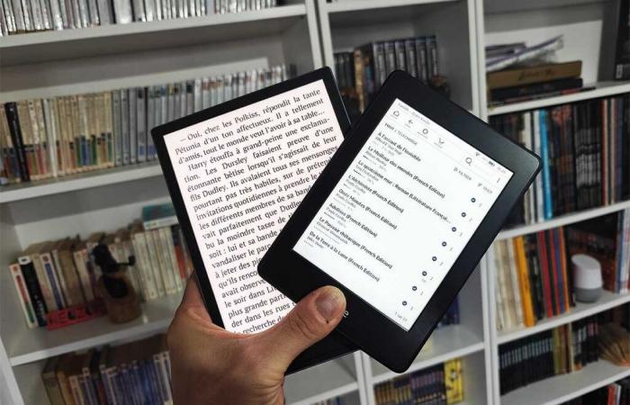 Die Nachteile digitaler E-Reader sollten erwähnt werden