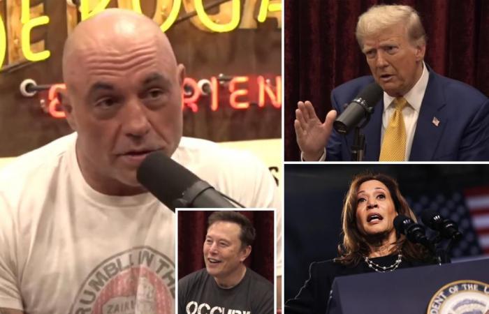 Joe Rogan kündigt „Unterstützung von Trump“ an, während er für das Interview mit Elon Musk auf X wirbt