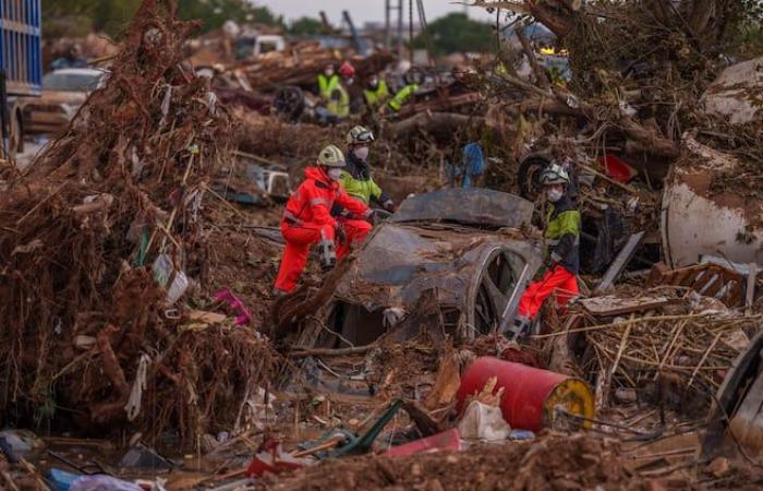 Die Forschung wird in Valencia fortgesetzt