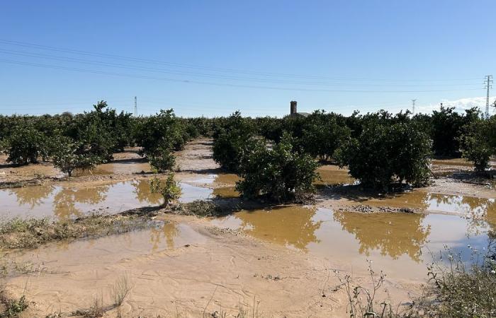 Die Wut der Opfer nach den tödlichen Überschwemmungen in Spanien