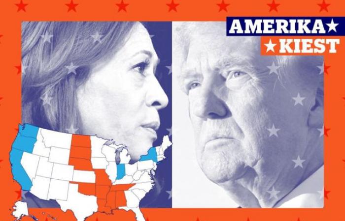 Ergebnisse der US-Wahl 2024: Sehen Sie sich hier die Ergebnisse von Kamala Harris und Donald Trump an