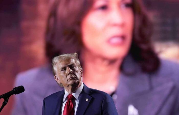 Kamala Harris und Donald Trump werfen ihre letzte Kraft in den Kampf …