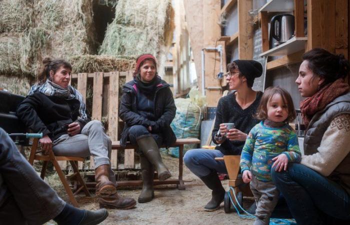 Larzac, gesehen von Philémon d’Andurain, wird im Ping-Pong le Toit in Millau ausgestellt