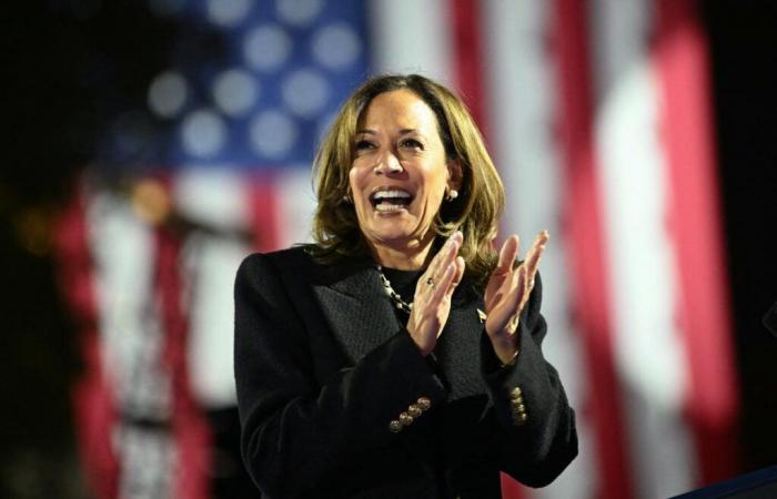 Einwanderung, Wirtschaft, Abtreibung … Was ist das Programm von Kamala Harris?