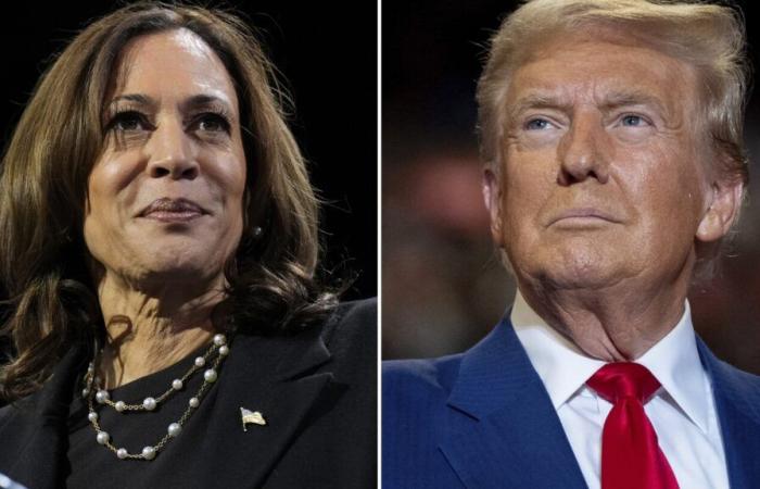 Trump oder Harris? Der Wahltag steht vor einer schwierigen Entscheidung