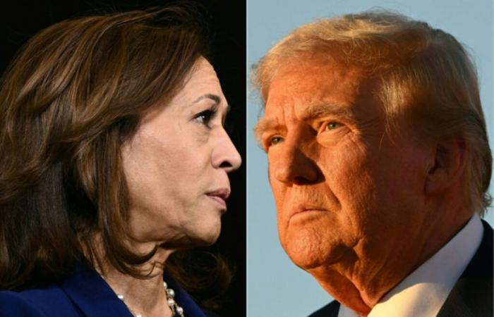 Harris oder Trump: Historischer Wahltag in Amerika – 11.05.2024 um 14:58 Uhr