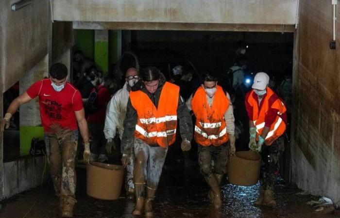 Die Suche auf Parkplätzen rund um Valencia geht weiter