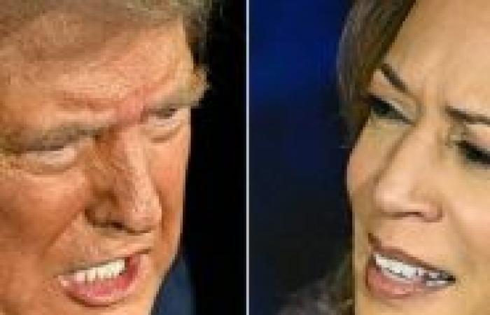 US-Präsidentschaftswahl 2024: Donald Trump liegt bei 201 Wählern, Kamala Harris bei 91, die Ergebnisse in den Schlüsselstaaten werden entscheidend sein