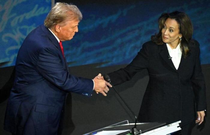 Wer führt den Kampf an – Trump oder Harris?