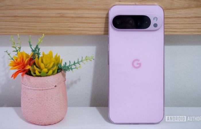 Das Pixel 9 Pro XL war ein Top-Verkäufer in den USA