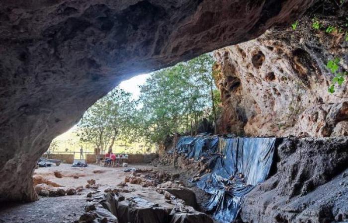 Die älteste „medizinische“ Verwendung von Kräutern der Welt wurde vor 15.000 Jahren in der Taubenhöhle in Tafogalt entdeckt – heute 24