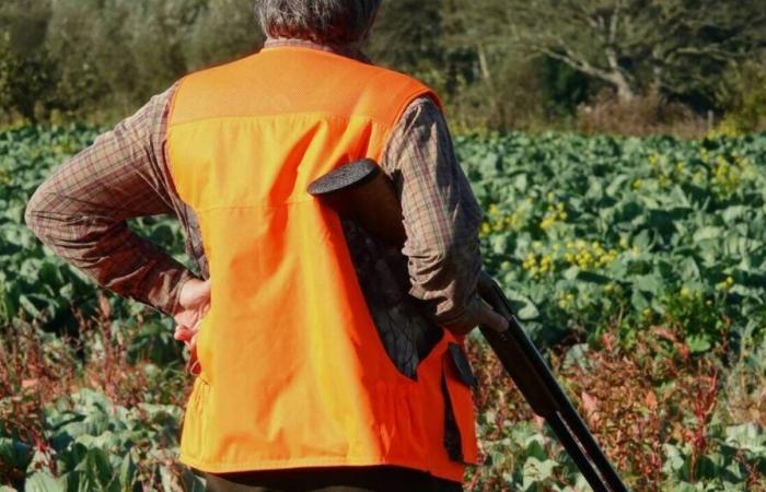 ein Spaziergänger, der amputiert wurde, nachdem er Opfer einer versehentlichen Schießerei durch einen Jäger geworden war