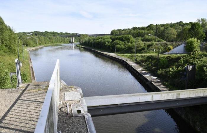 Ein Unternehmen renoviert die falsche Brücke in Charleroi: Die Stadt trifft eine wichtige Entscheidung