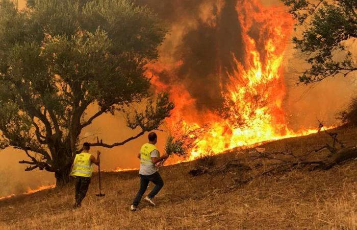 Benin: Ein durch Kpayo-Benzin verursachtes Feuer verwüstetes Haus in Agonli-Houègbo