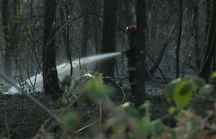 ein ehemaliger Feuerwehrmann wegen sechs Brandstiftungen verurteilt