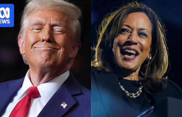 Das Rennen zwischen Kamala Harris und Donald Trump erreicht seinen Höhepunkt im US-Wahlkampf, der zunehmend von Angst und Gehässigkeit geprägt ist