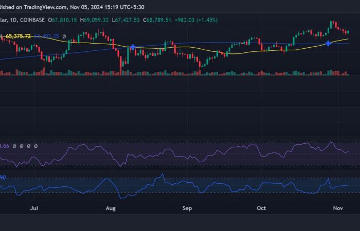 Bitcoin-HODLer zeigen Zurückhaltung: Ein Zeichen der Marktreife?