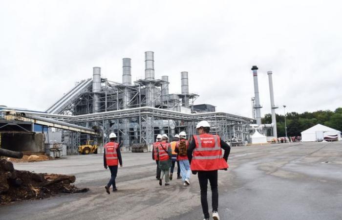 Ein Brand in der Holzplattenfabrik Swiss Krono in Sully-sur-Loire