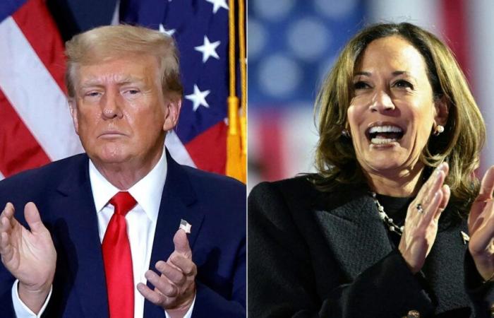 US-Wahlen 2024: Welche 7 Swing States werden über das Schicksal von Donald Trump und Kamala Harris entscheiden?