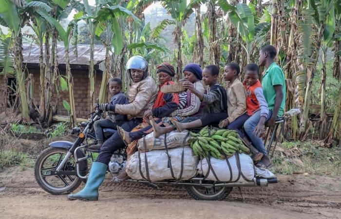 Erdrutsch in Kamerun | Vier Tote, mehrere begraben