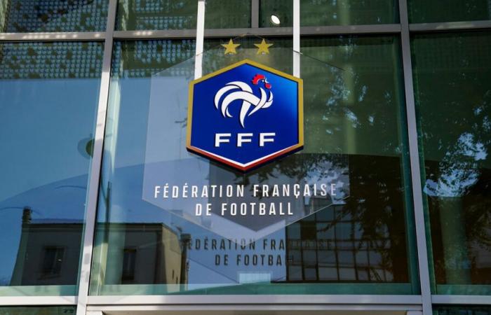 Frankreich-Israel: Demonstranten, die die Absage des Spiels forderten, wurden von der FFF empfangen