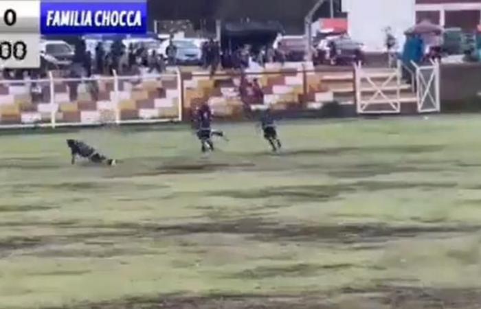 In Peru stirbt ein Fußballspieler mitten im Spiel durch einen Blitzschlag