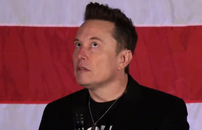 Elon Musk hat seinen Tesla auf dem Rasen des Weißen Hauses geparkt