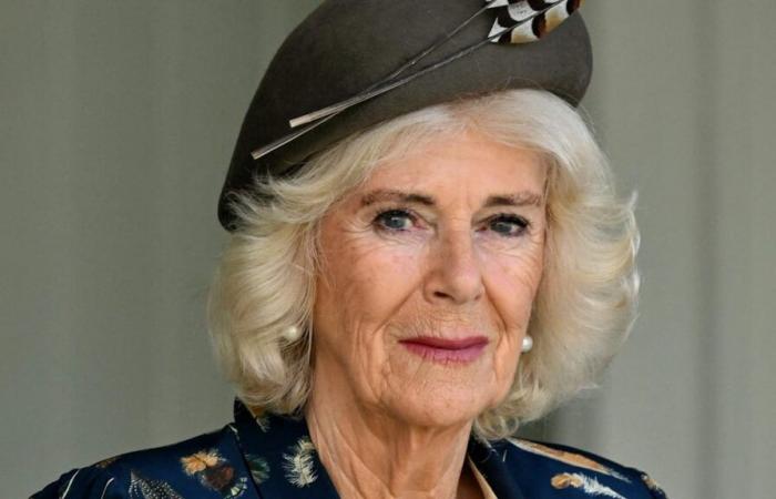 Königin erkrankt und Charles in Sorge: Camilla sagt alle Termine ab | Unterhaltung