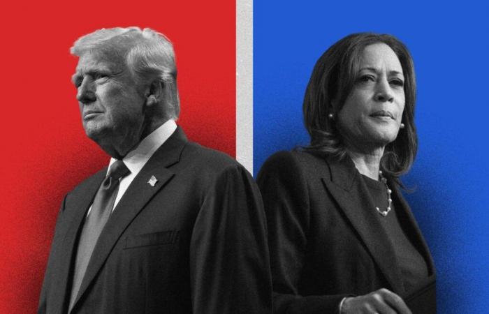 Vorfälle in Wahllokalen, verfolgen Sie die Ergebnisse des Trump-Harris-Duells live