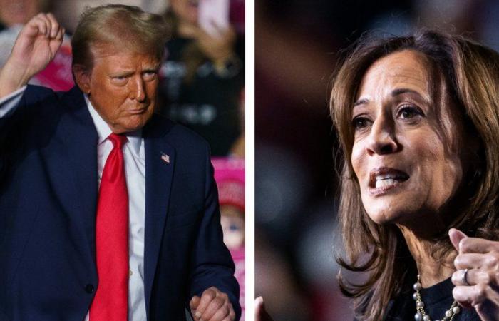 Amerikanische Präsidentschaftswahl: Donald Trump oder Kamala Harris, wann werden die Abstimmungsergebnisse bekannt gegeben?