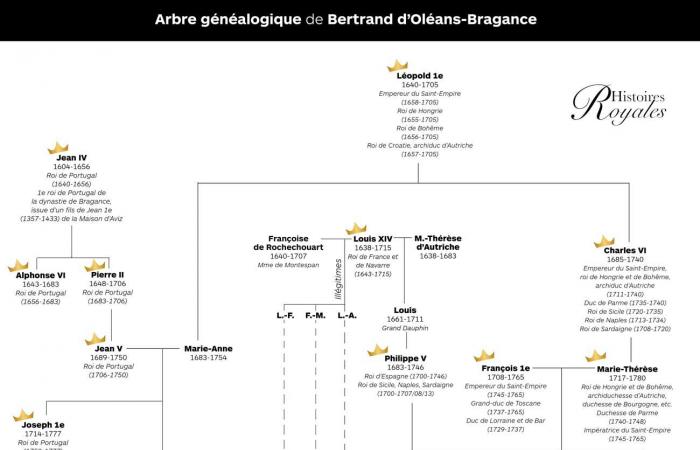 Der Gesundheitszustand von Prinz Antônio von Brasilien verschlechtert sich