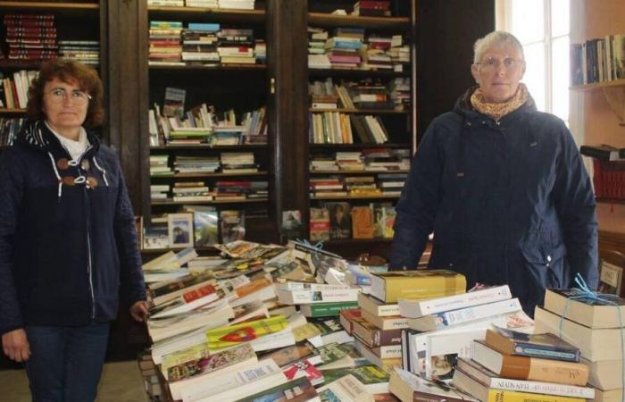 Obwohl 4.000 Bücher verfügbar sind, wird die riesige Bücherkiste von Theurthéville-Bocage kaum genutzt