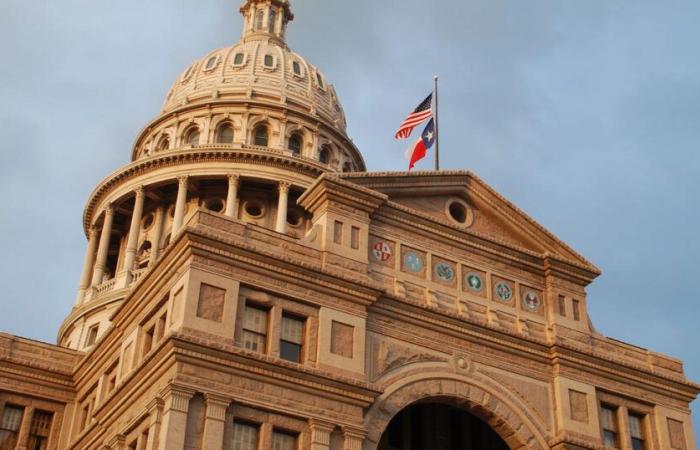 Texas hat 40 Wahlmännerstimmen. So funktioniert das Wahlkollegium für den Staat.