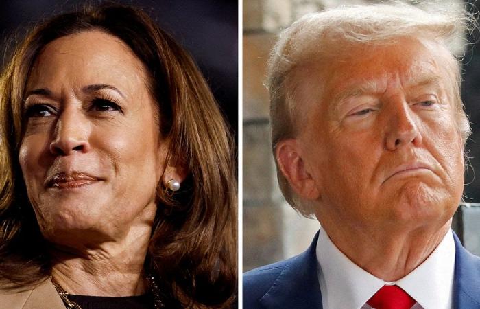 Aktivistin von Black Lives Matter will für Donald Trump stimmen: „Ich würde Kamala Harris definitiv nicht unterstützen“