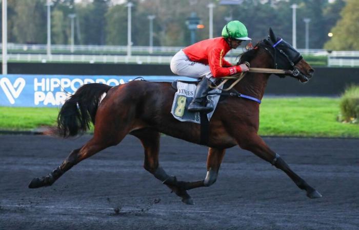 Lacinia glänzt mit Eric Raffin bei seinem Debüt in Vincennes