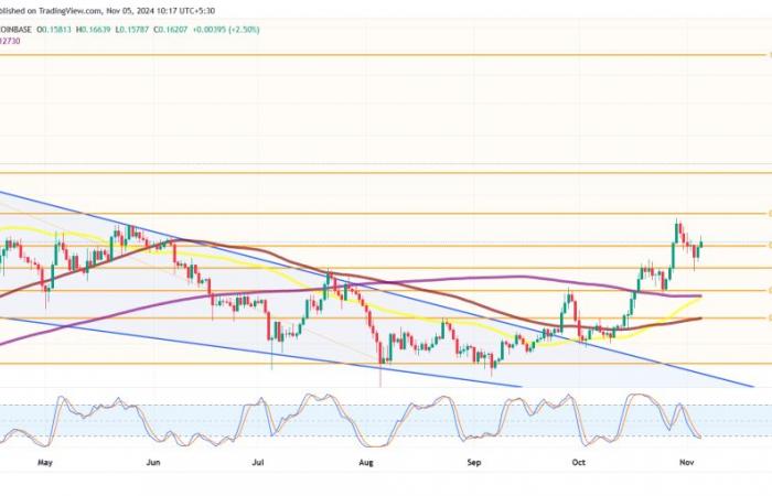 Werden $DOGE und Meme-Coins nach den Ergebnissen steigen?